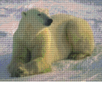Ľadový medveď 809159